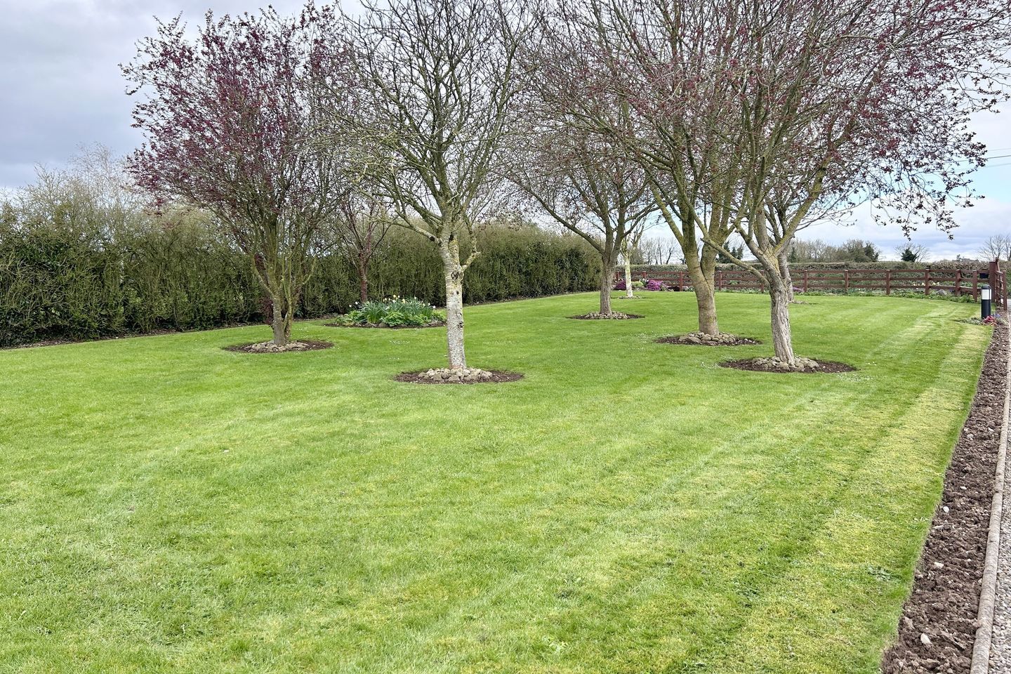 Winterburn, Conahy, Ballyragget, Co. Kilkenny, R95W2AH 110