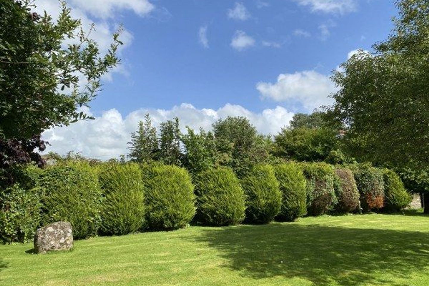 6 Main Street, Carnew, Carnew, Co. Wicklow, Y14N1N8 17