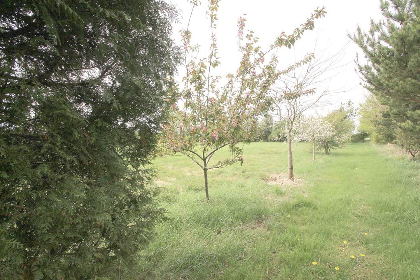 BARONY HOUSE, Barony House, Tullamore, Co. Offaly, R35H7T2 40