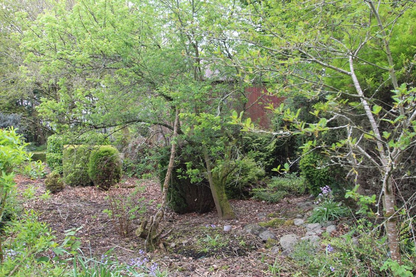 BARONY HOUSE, Barony House, Tullamore, Co. Offaly, R35H7T2 32