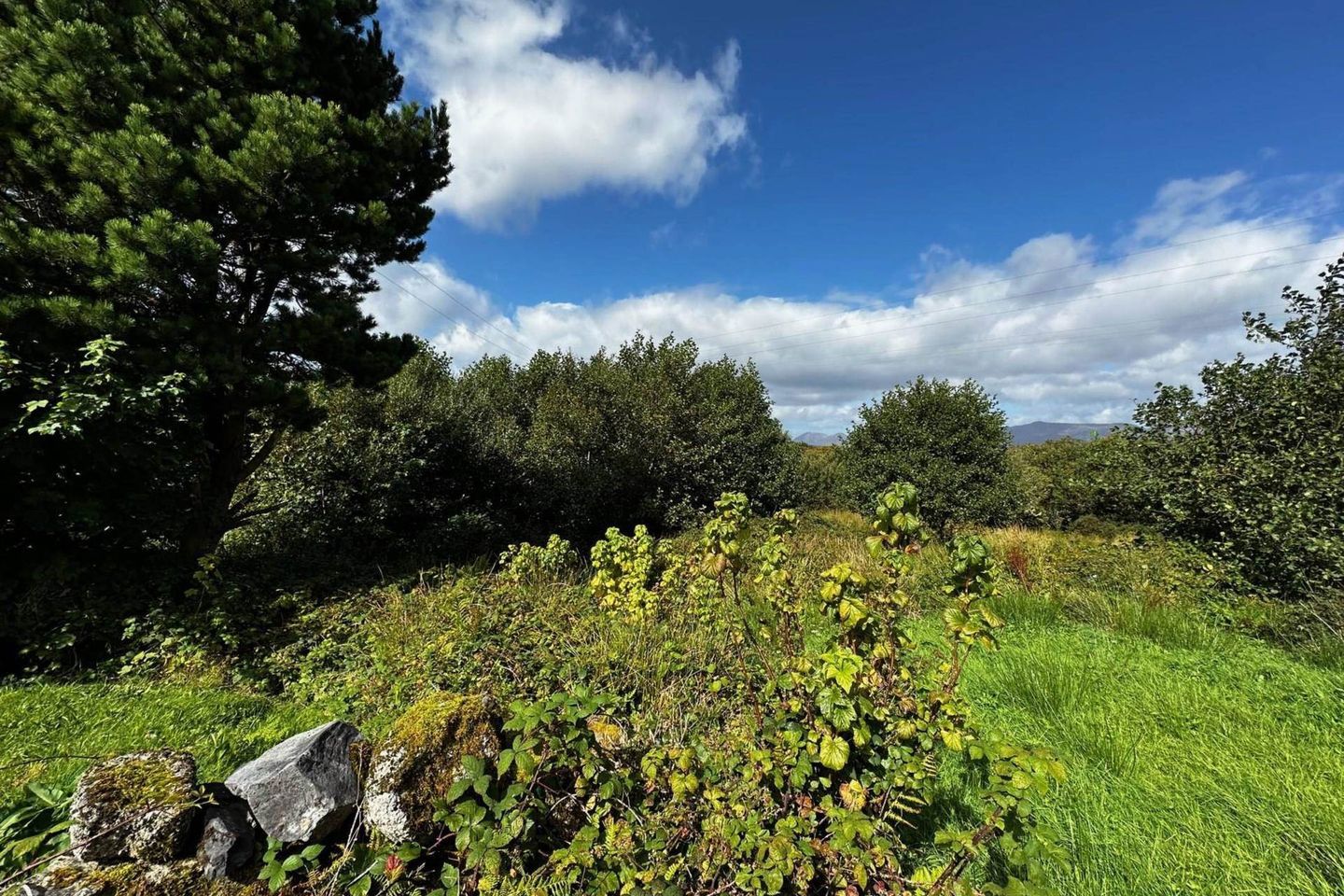 Gortmore, Rosmuc, Co. Galway, H91X268 12