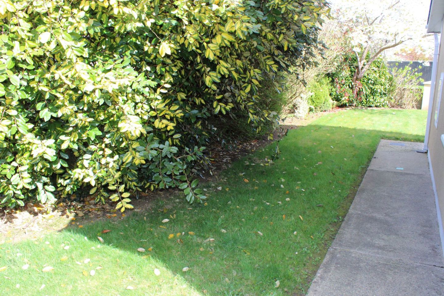 Ard Alainn, Castlebridge, Castlebridge, Co. Wexford, Y35WN96 8