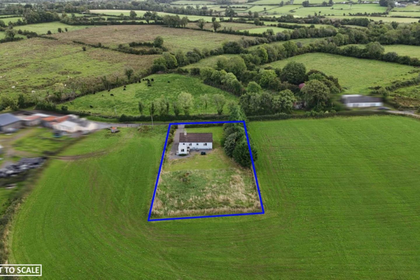 Moher, Strokestown, Co. Roscommon, F42YK60 13