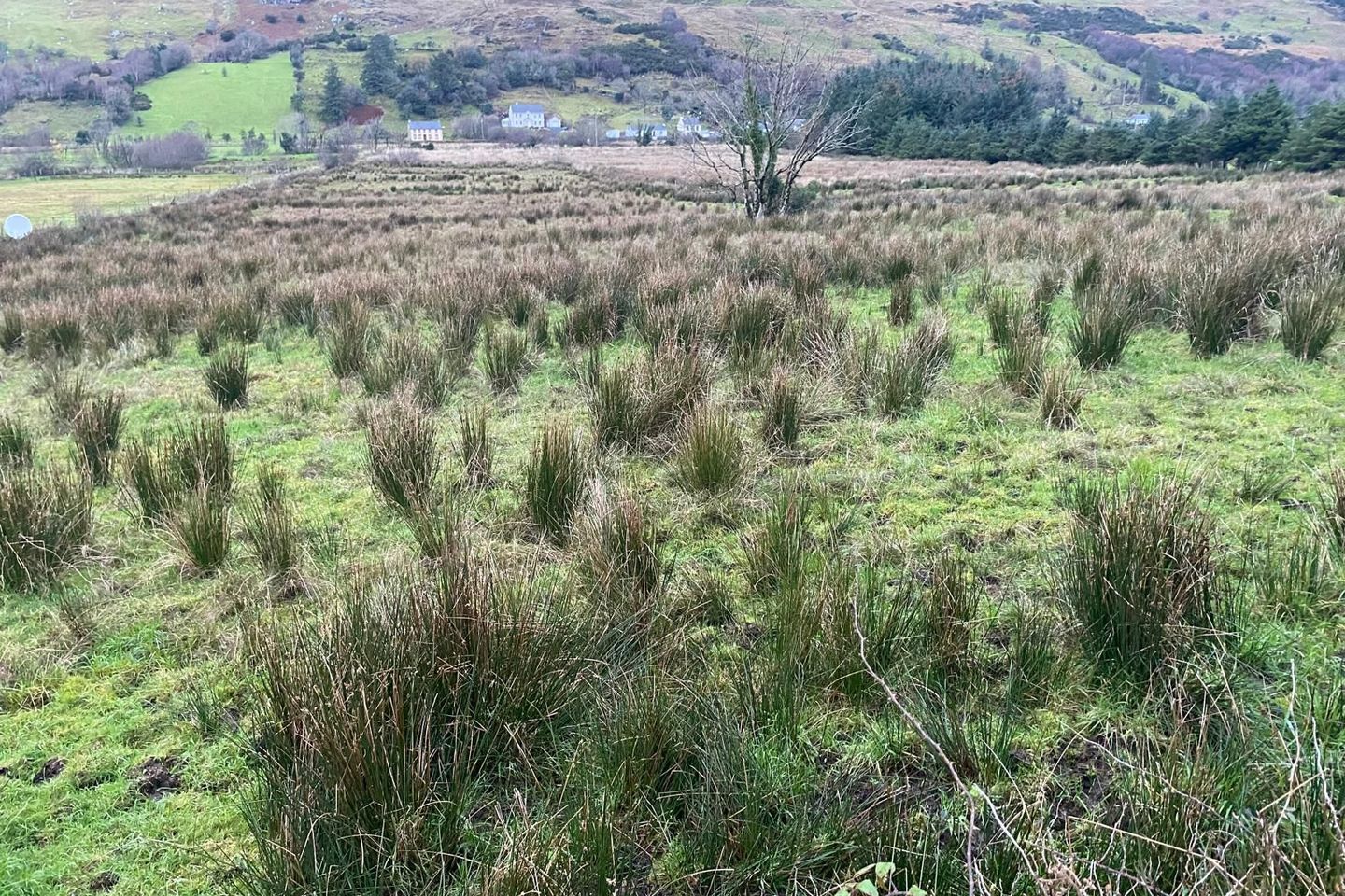 Strasallagh, Glenties, Co. Donegal, F94V4K4 19
