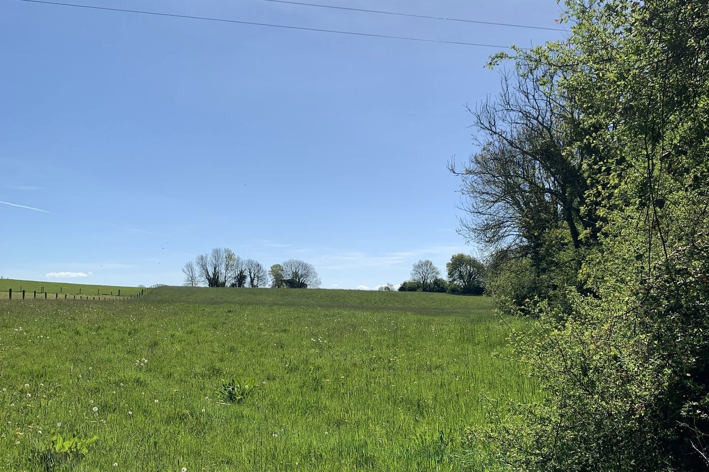Brookfield, Templemartin, Clara, Co. Kilkenny, R95A8F8 4