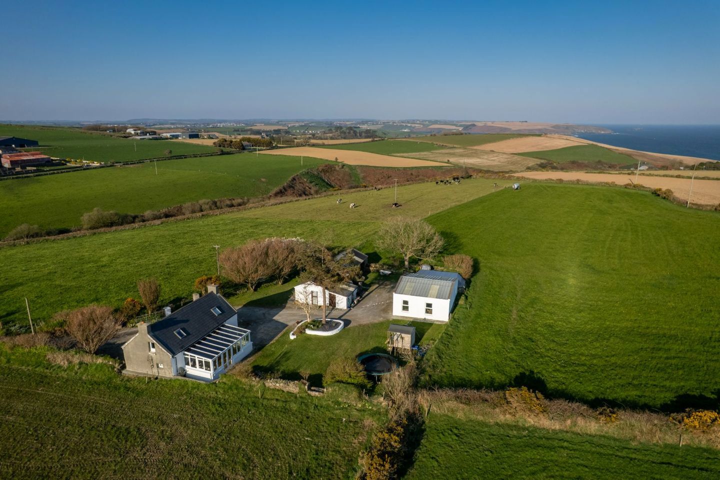 Dooneen Upper, Old Head, Kinsale, Co. Cork, P17A588 13