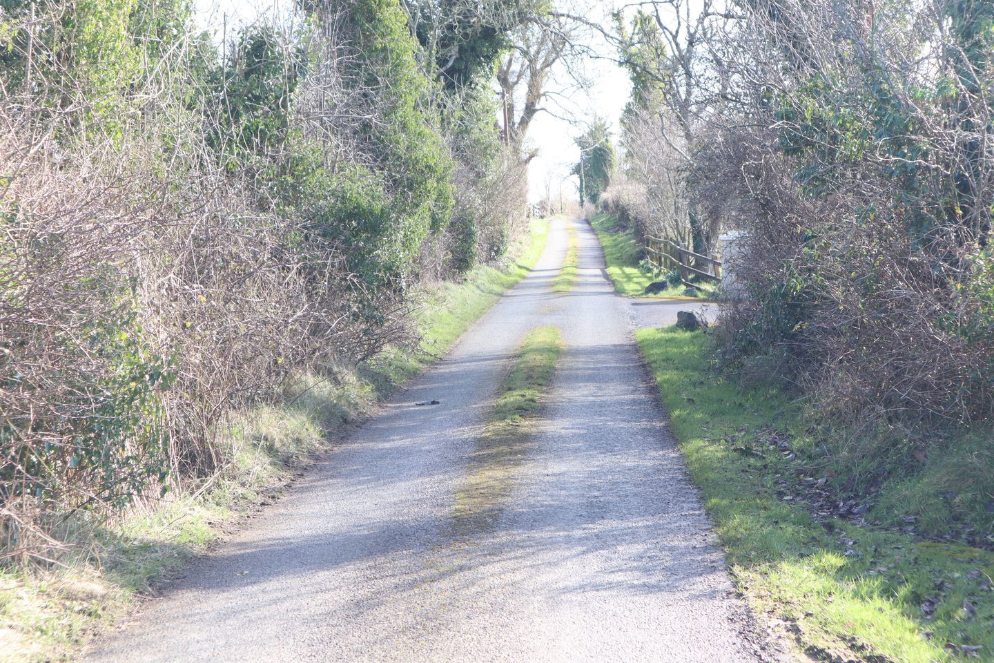 Meath Hill, Drumconrath, Drumconrath, Co. Meath, C15K2W9 17