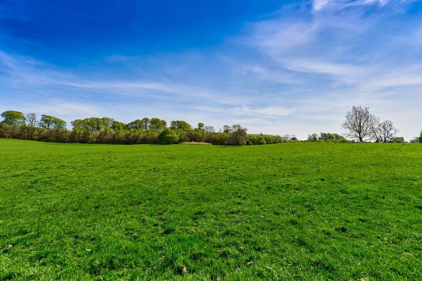 Mountainstown House, Navan, Co. Meath, C15C938 22