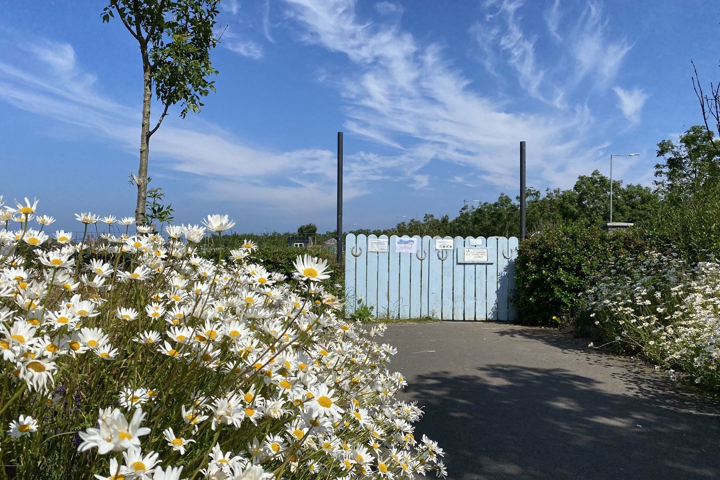 13 Red Arches Close, The Coast, Baldoyle, Dublin 13, D13NW08 22