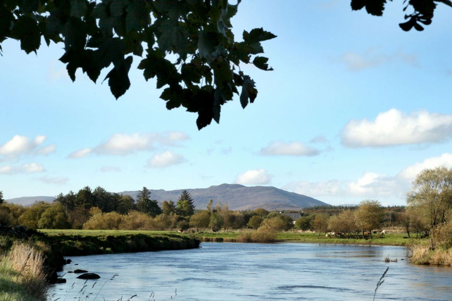 belgarrow, foxford, mayo