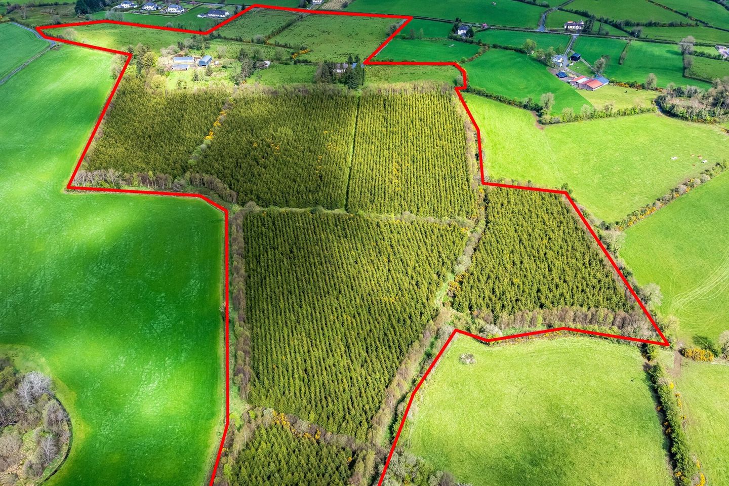 Maghernaharney,, Rockcorry,, Co. Monaghan, H18EY02 5