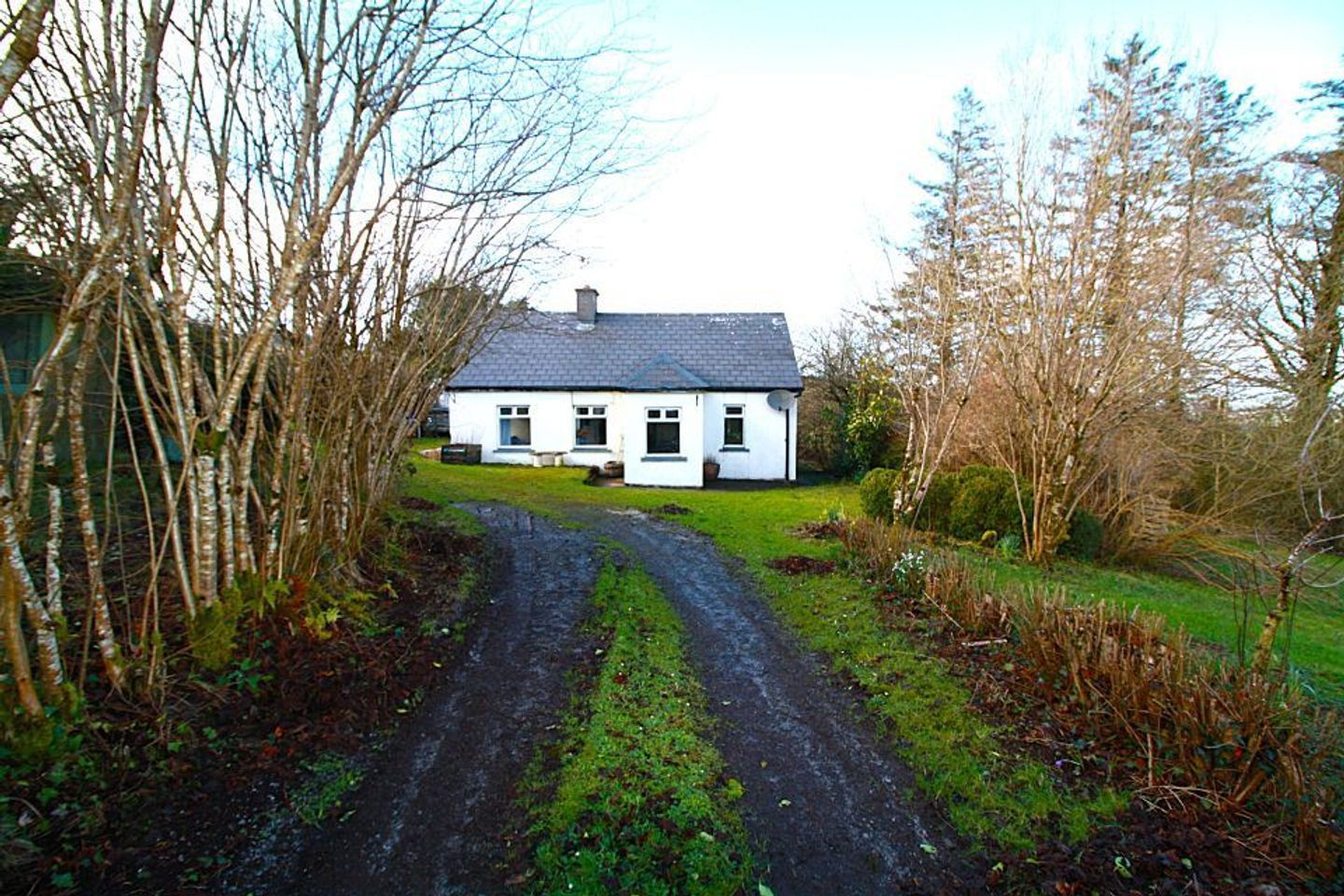 Banemore, Broadford, Banemore, Co. Limerick, P56EH60 8