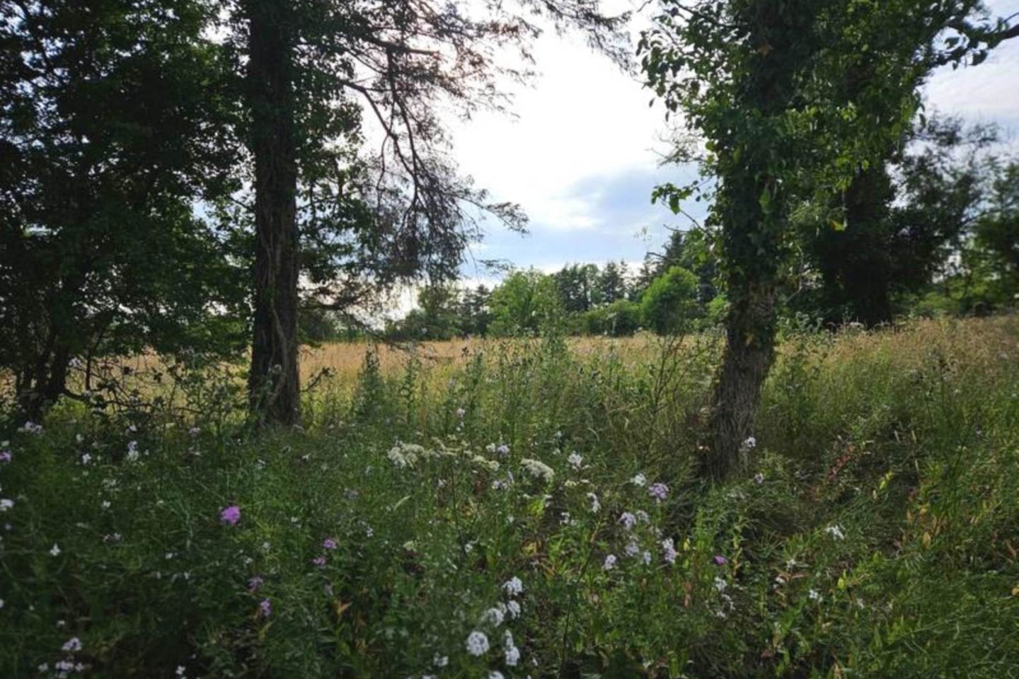 Barna, Glenamaddy, Co. Galway, F45PW29 19
