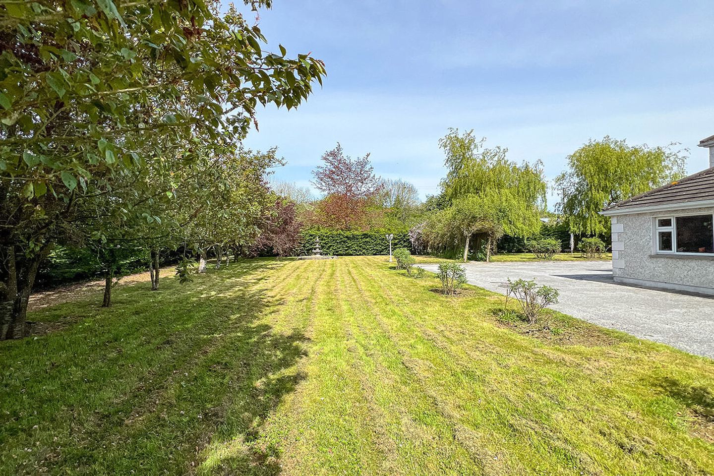 Cherry Blossom Lodge, Kilmacahill, Paulstown, Co Kilkenny, R95K4W2 42