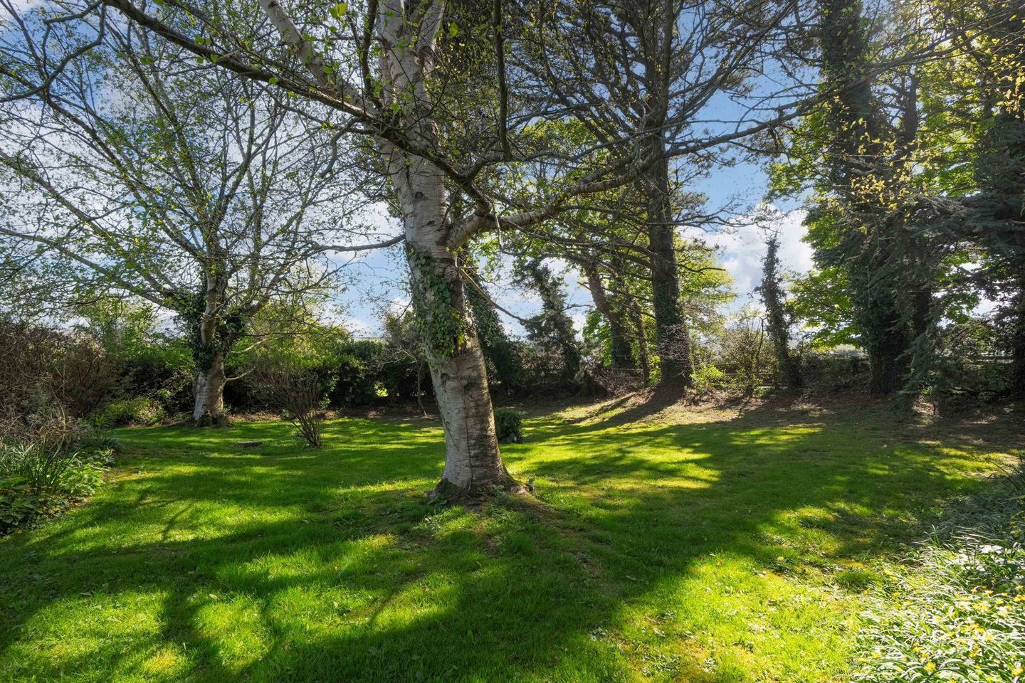 Saint Expury, Killegar, Enniskerry, Co. Wicklow, A98VP46