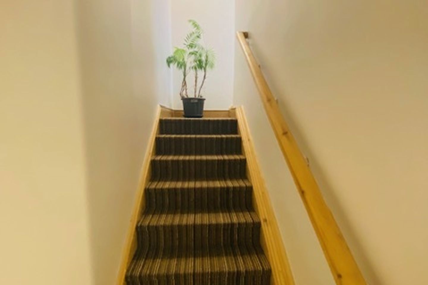 5 de vesci court, portlaoise, laois 16