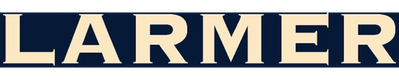 Ian Larmer MRICS MSCSI logo